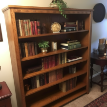 PriyaPatel-WoodenBookshelfx1